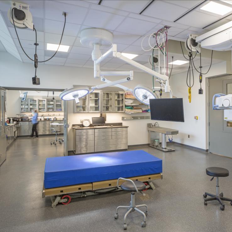 interior view of  veterinary hospital 