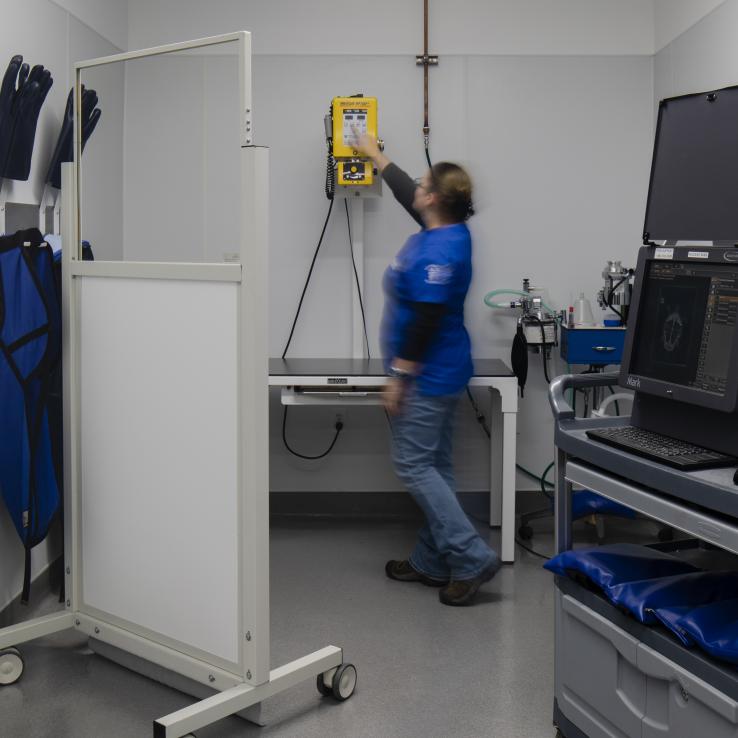 Veterinary radiology room with imaging equipment