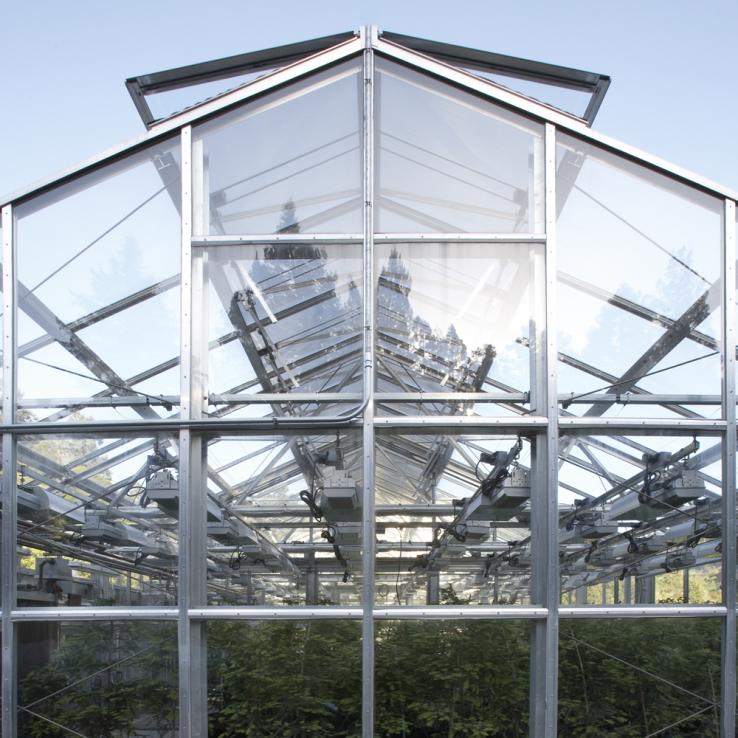Exterior view looking into greenhouse plantings